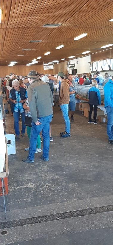 Kleintiermarkt Bilder