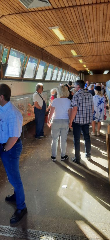 Kleintiermarkt Bilder