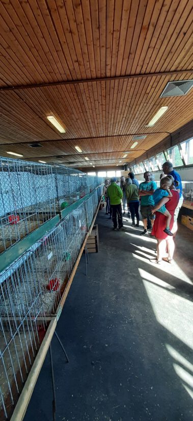 Kleintiermarkt Bilder