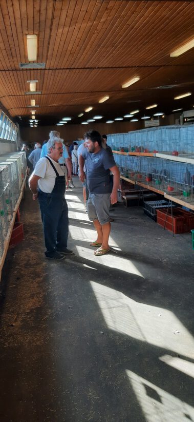 Kleintiermarkt Bilder