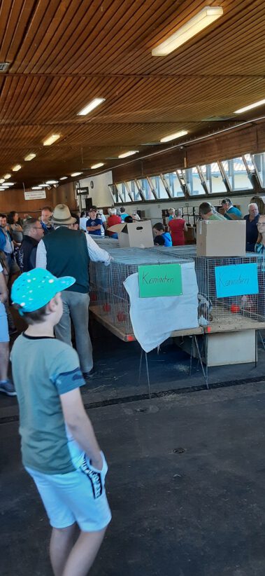 Kleintiermarkt Bilder