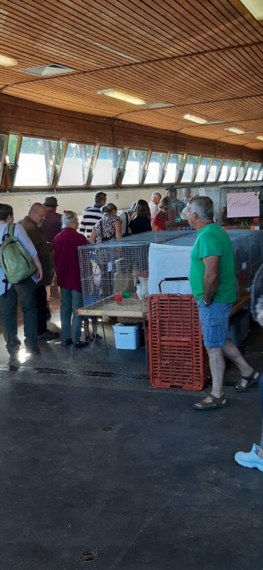 Kleintiermarkt Bilder