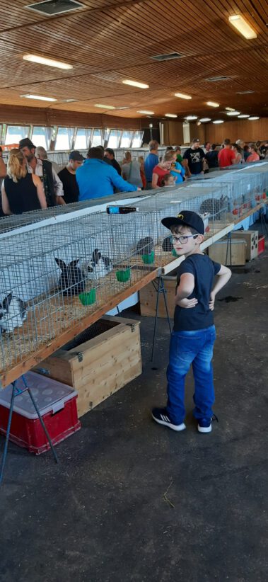 Kleintiermarkt Bilder