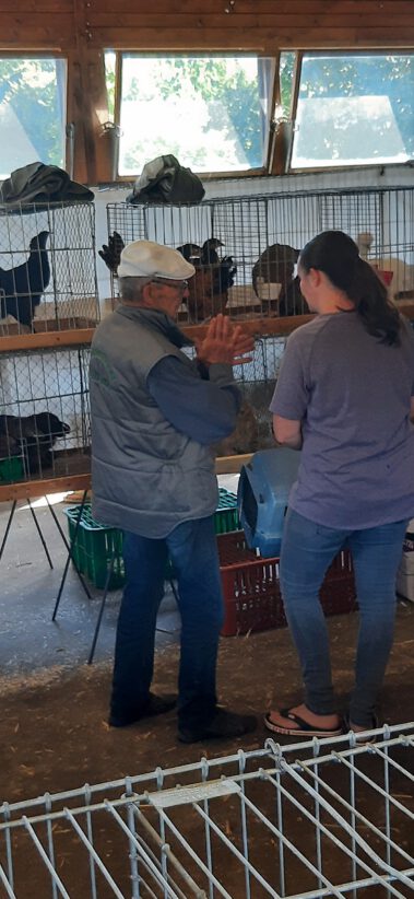 Kleintiermarkt Bilder