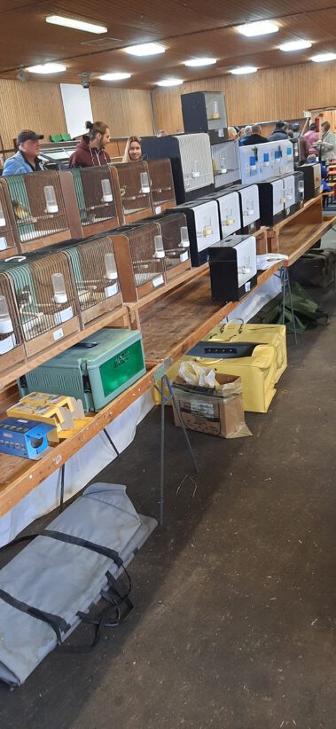 Bildergalerie & Artikel Kleintiermarkt VDRVK Weilheim