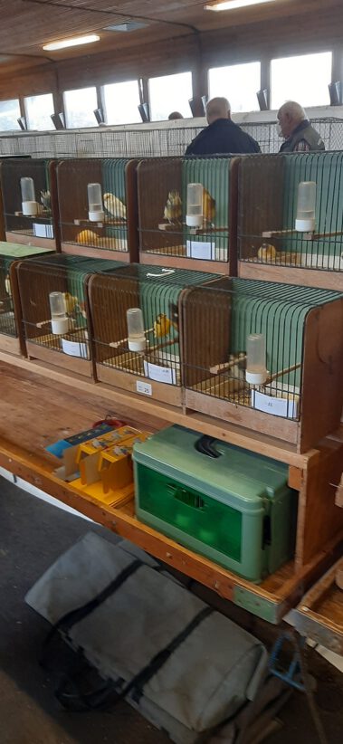 Kleintiermarkt Bilder